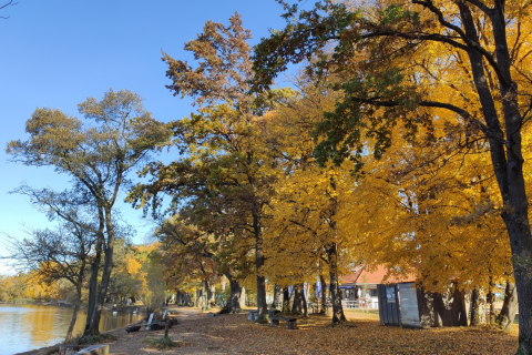 Herbst-am-Chiemsee-Strand