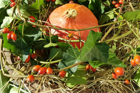 Herbstzauber