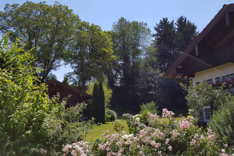 Sommerpracht